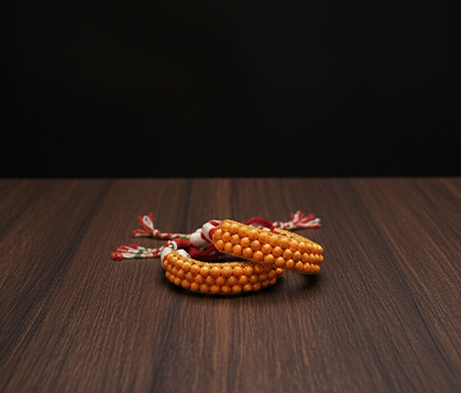 Jaishree Shipping Icon